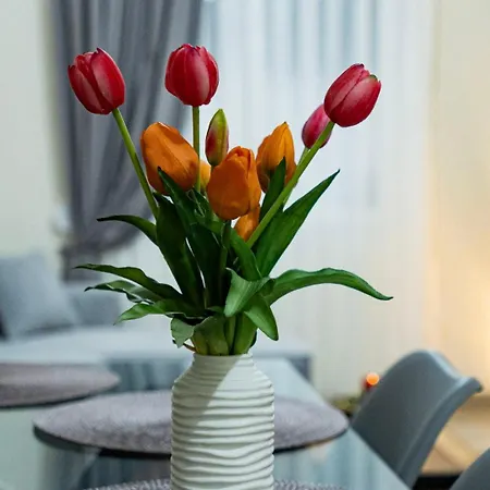 Apartamento Cozy In The Center Of *
